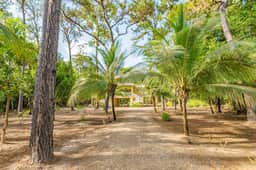 Tropical getaway with modern amenities, wildlife viewing and beach club
