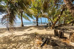 Tropical beachfront getaway with private pool, ocean views & enclosed yard