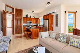 Private Island Penthouse at Brahma Blue, San Pedro - Image 4
