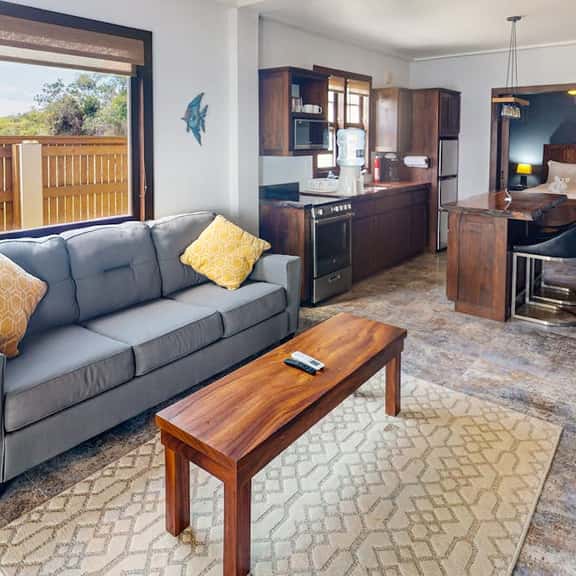Beachfront suite with reef views - pool, bikes, canoes, dock, and grill access - Image 1