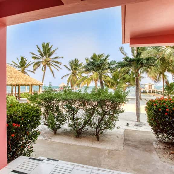 Beachfront dog-friendly condo with pool - walk to ocean from the veranda - Image 1