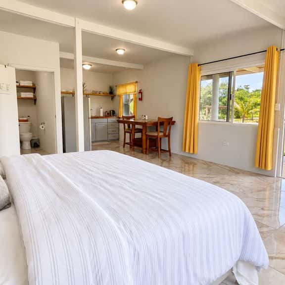 Modern Nature Studio with Private Pond in Belmopan - Image 1