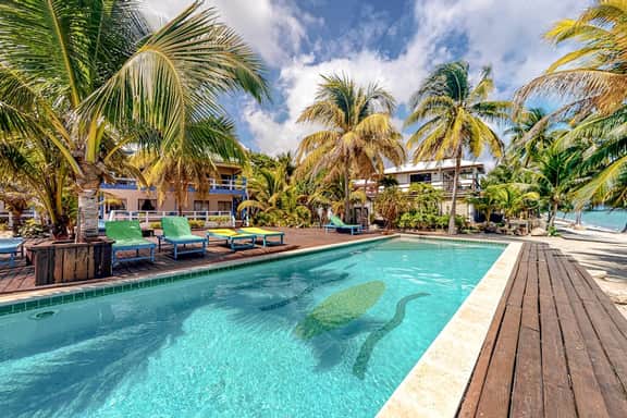 Ocean view condo with shared pool, WiFi, & central AC - steps to beach
