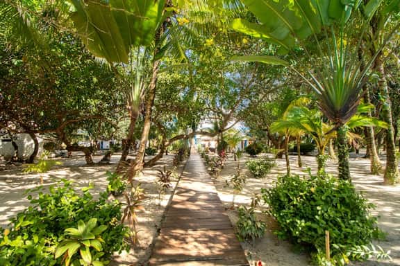 Tranquil ocean-view escape with shared pool, beach access, AC, & free wifi